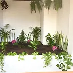 Relax And Calm In The Sea By Deihu Experiences Lägenhet *